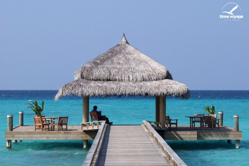 Картинка - 3