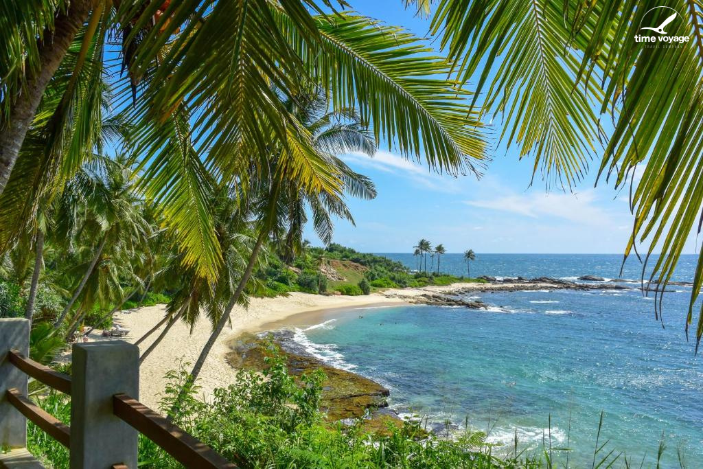 Картинка - 2