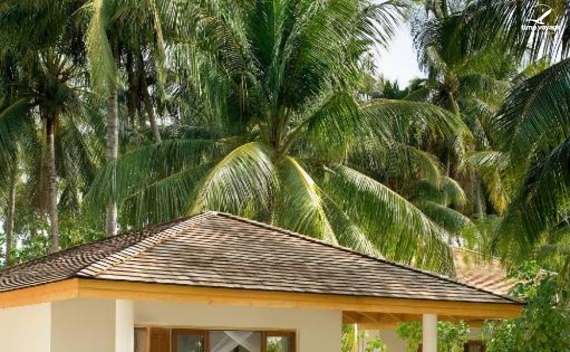 Картинка - 19