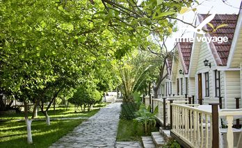 Картинка - 3