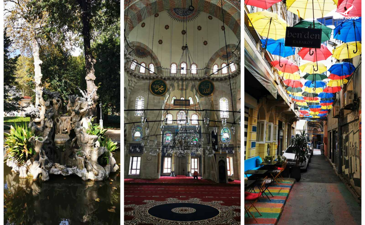 Картинка - 1