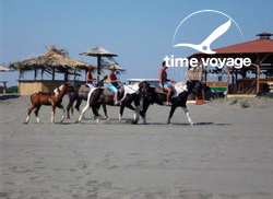 Картинка - 5