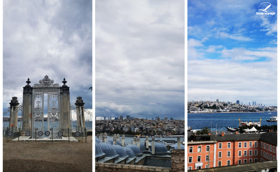 Картинка - 1