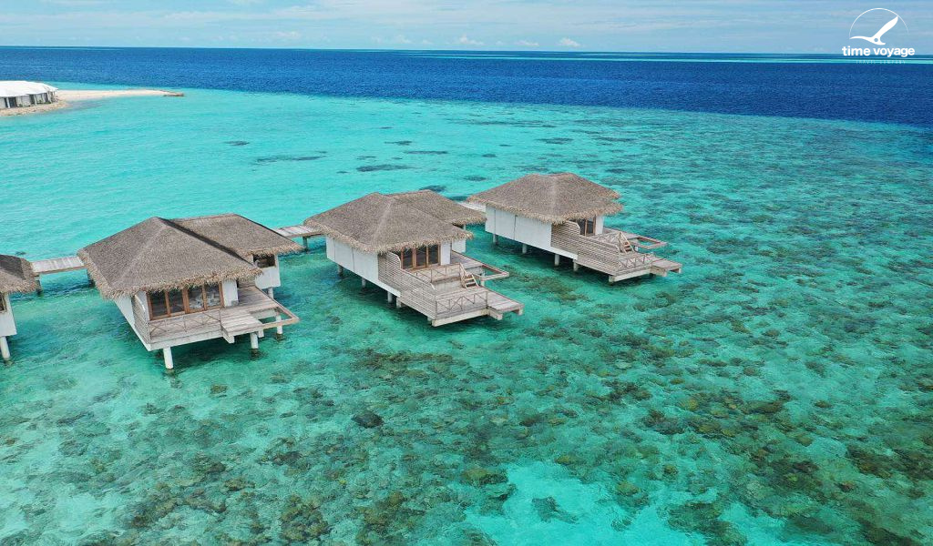 Картинка - 3