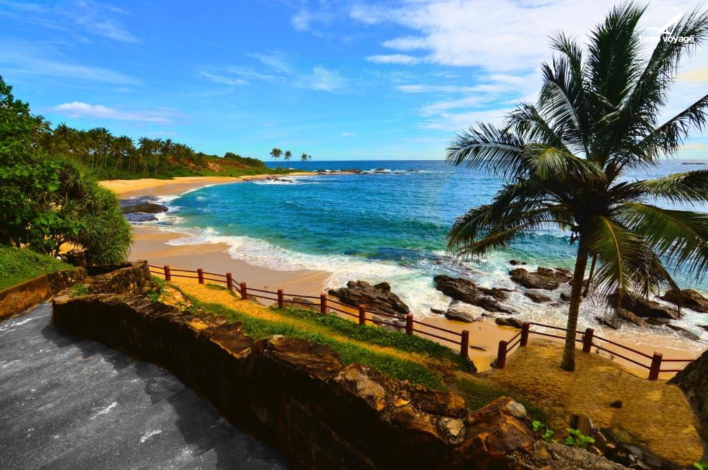 Картинка - 15